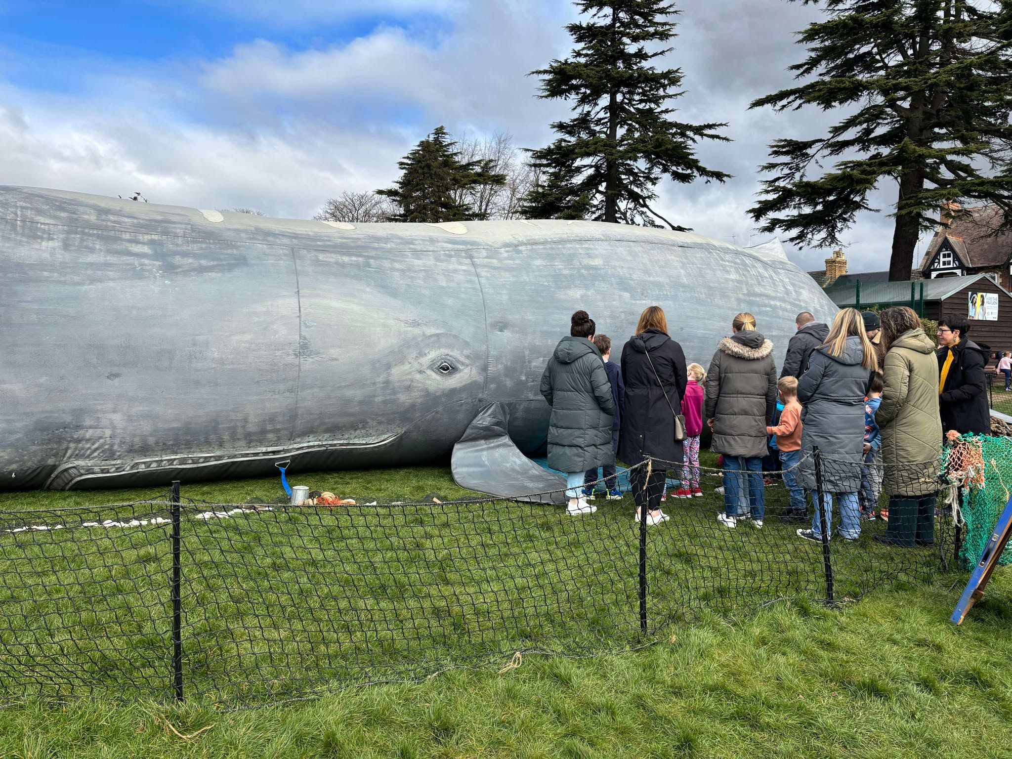 The Whale- Plastic Ocean